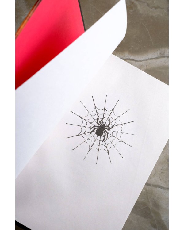 Леди-призрак (дилогия)