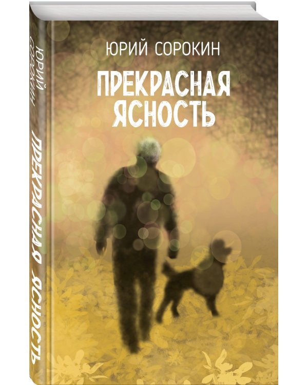 Прекрасная ясность