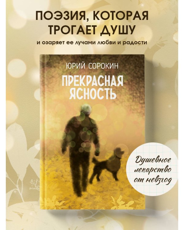 Прекрасная ясность