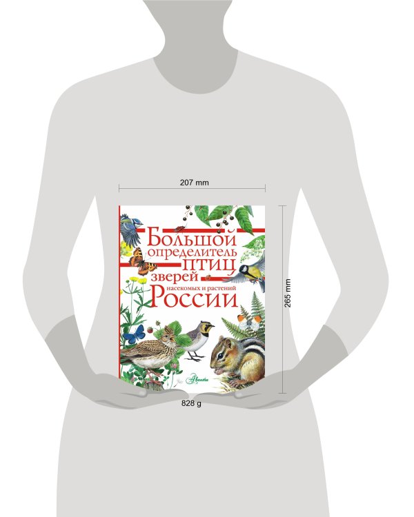 Большой определитель птиц, зверей, насекомых и растений России