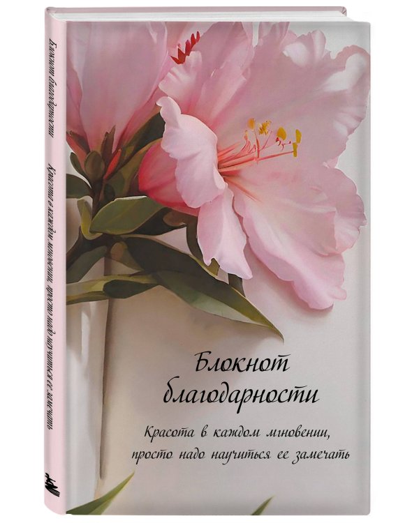 Блокнот благодарности. Красота в каждом мгновении, просто надо научиться ее замечать