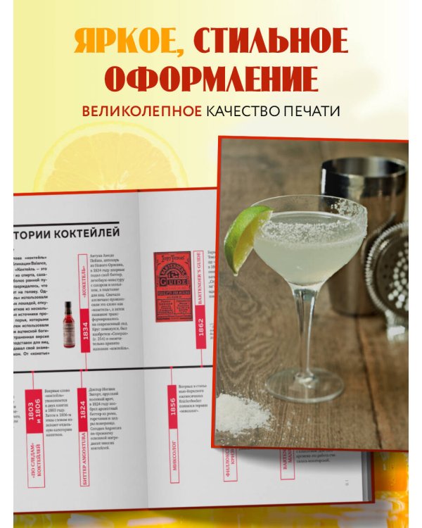 Искатель приключений. Справочник юного путешественника. Как весело и безопасно проводить время на природе