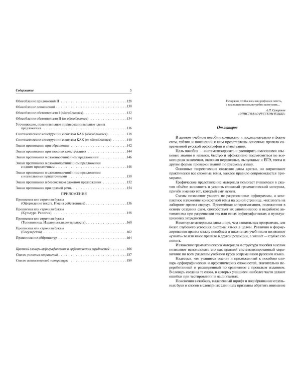 Русский язык: наглядно и доступно