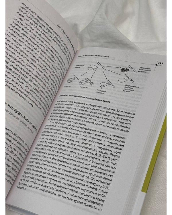 Желчь & ферменты