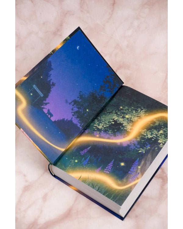 Ведьмина ночь