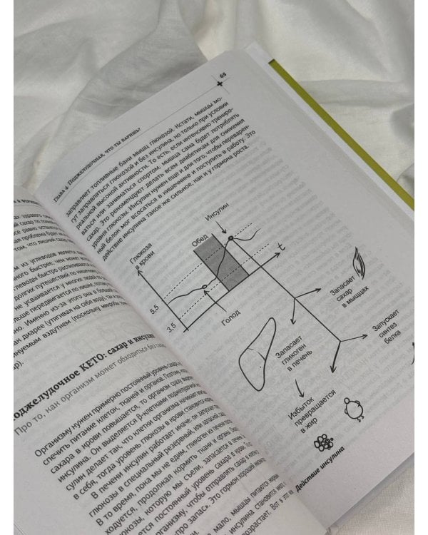 Желчь & ферменты