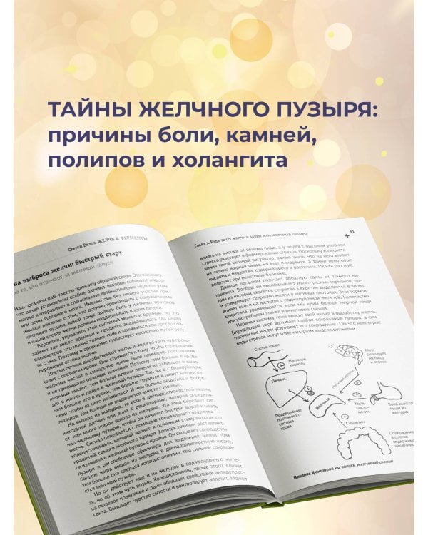 Желчь & ферменты