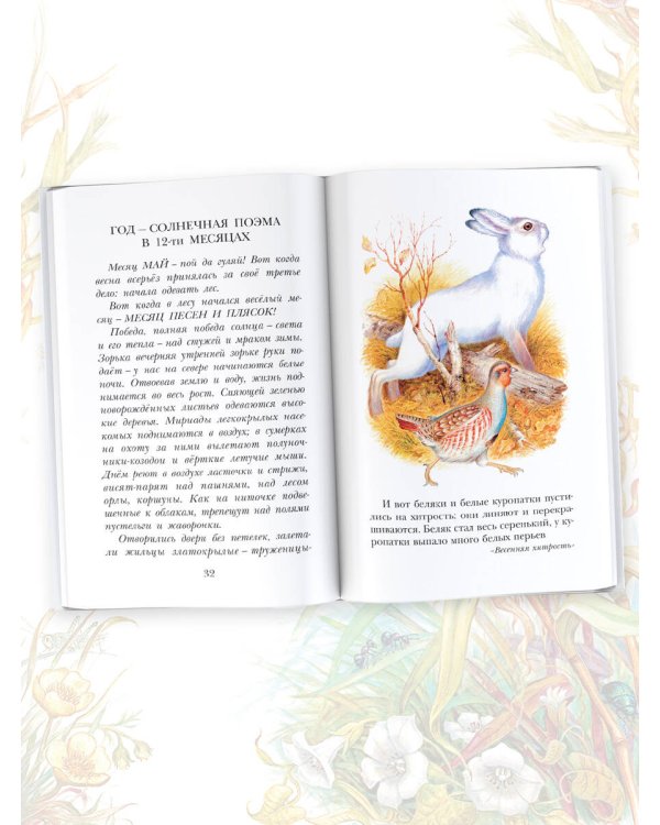 Лесная газета. Рассказы