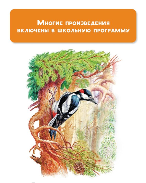 Лесная газета. Рассказы