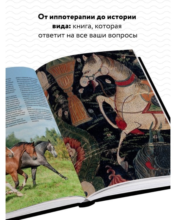 Лошади. Самая полная иллюстрированная энциклопедия