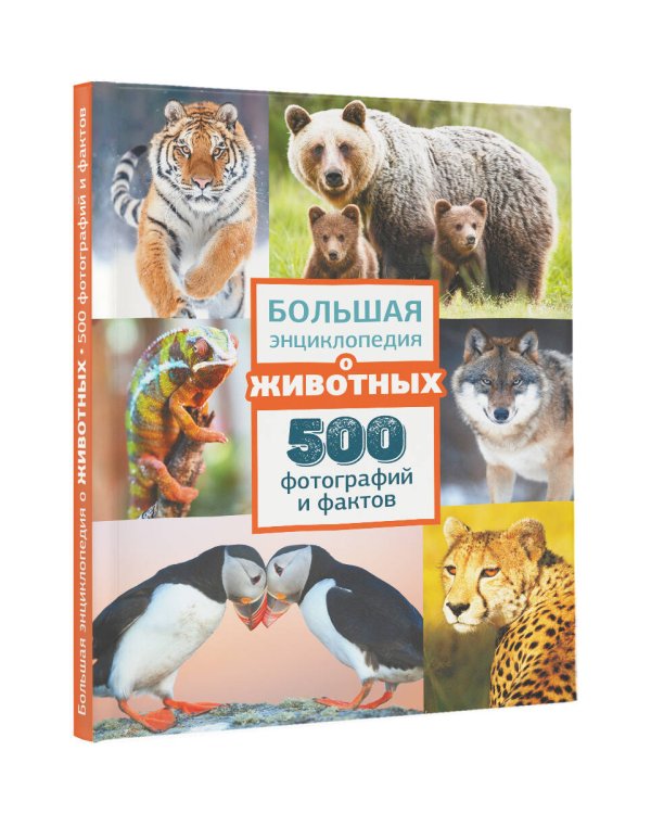 Большая энциклопедия о животных. 500 фотографий и фактов