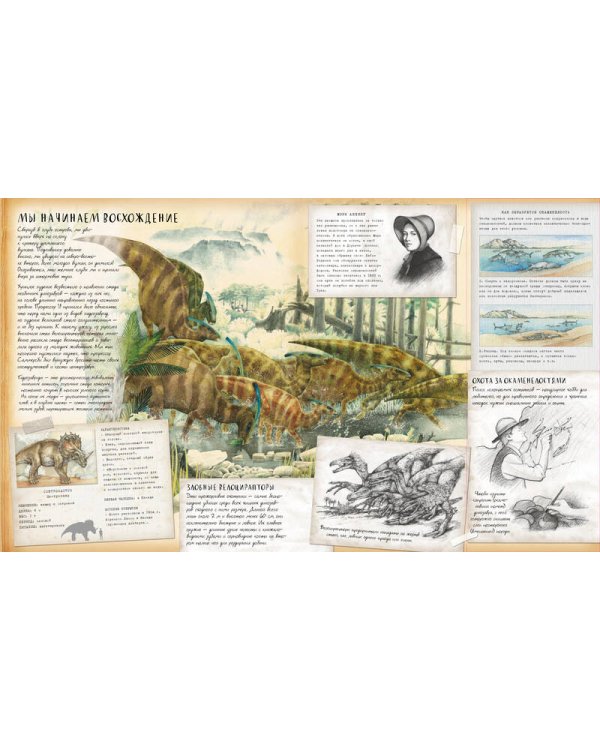 Динозавроведение. Поиски затерянного мира.