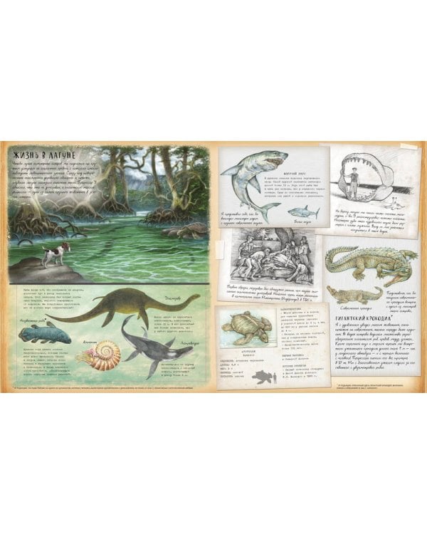 Динозавроведение. Поиски затерянного мира.