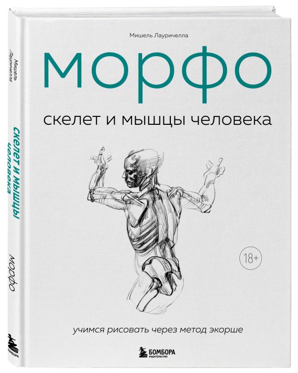 МОРФО. Скелет и мышцы человека. Анатомия для художников