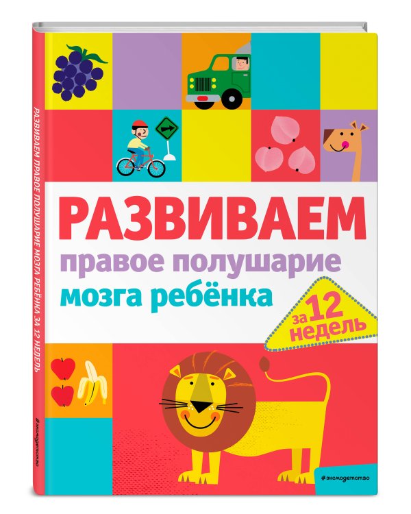 Развиваем правое полушарие мозга ребенка за 12 недель