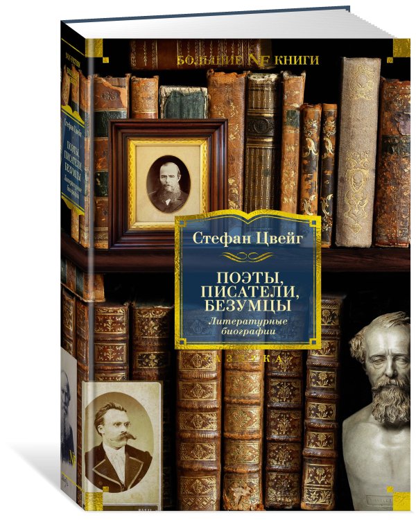 Поэты, писатели, безумцы. Литературные биографии