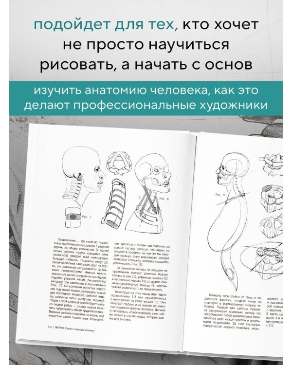 МОРФО. Скелет и мышцы человека. Анатомия для художников