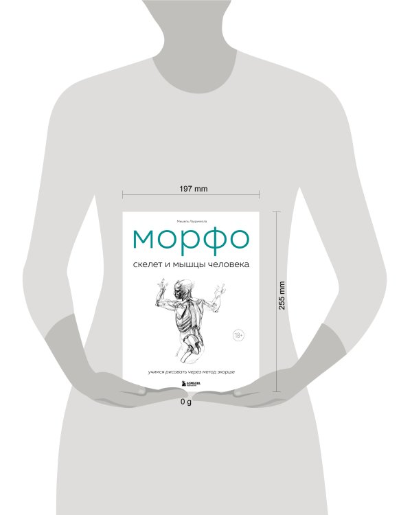 МОРФО. Скелет и мышцы человека. Анатомия для художников