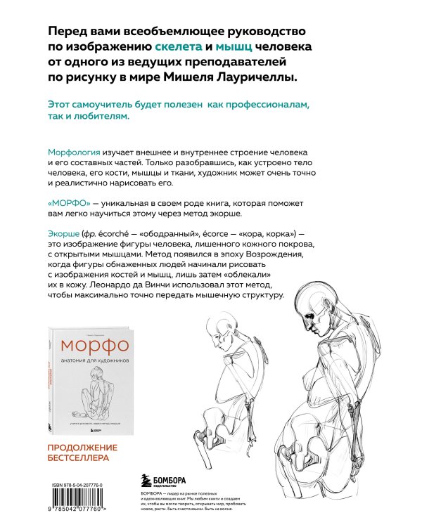 МОРФО. Скелет и мышцы человека. Анатомия для художников