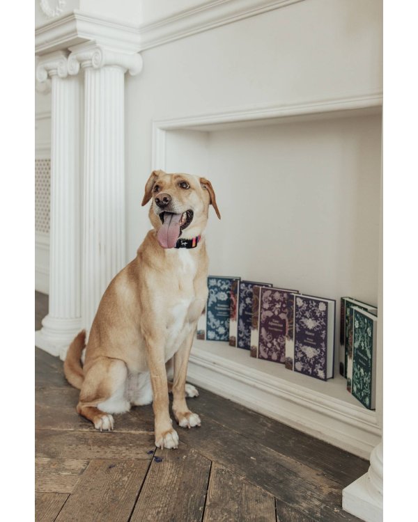 Мастер и Маргарита