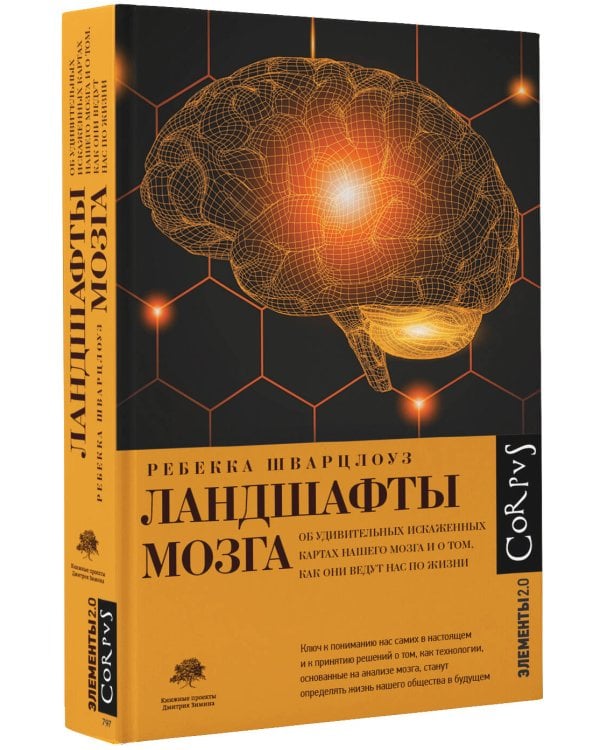 Ландшафты мозга