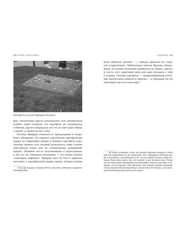 Алхимия. Тайное искусство и тонкая наука магии в брендах, бизнесе и жизни