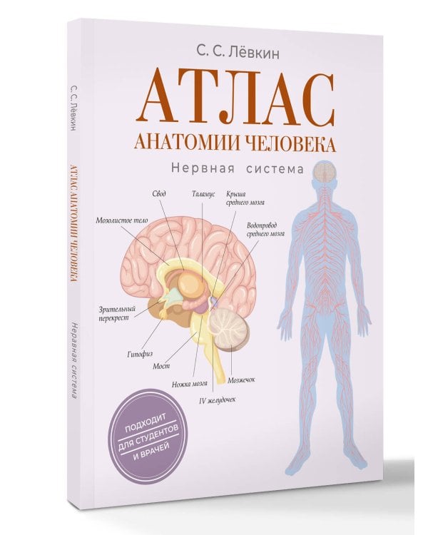 Атлас анатомии человека. Нервная система