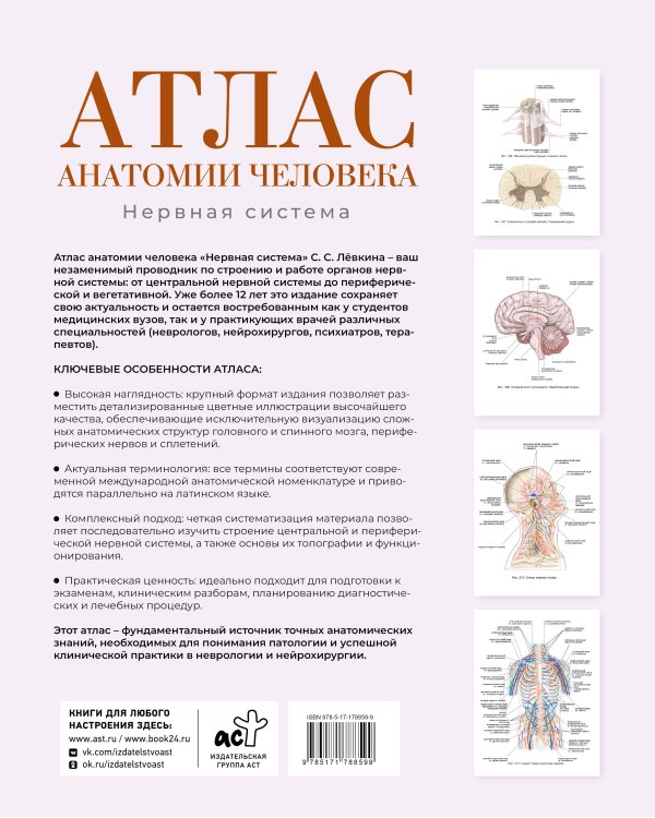 Атлас анатомии человека. Нервная система