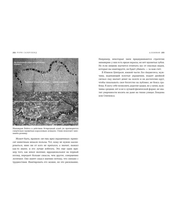 Алхимия. Тайное искусство и тонкая наука магии в брендах, бизнесе и жизни