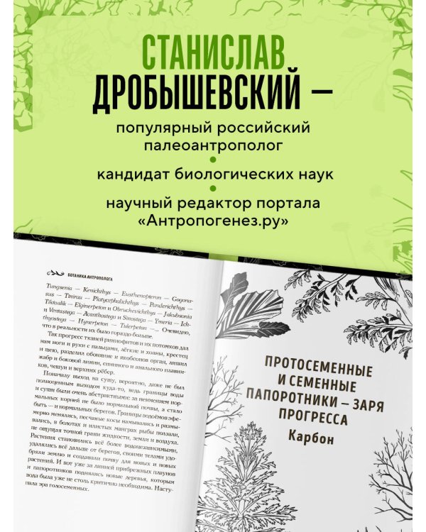 Ботаника антрополога. Как растения создали человека. Ёлки-палки