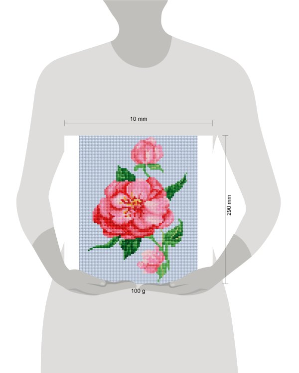 477-ST-PS Шиповник