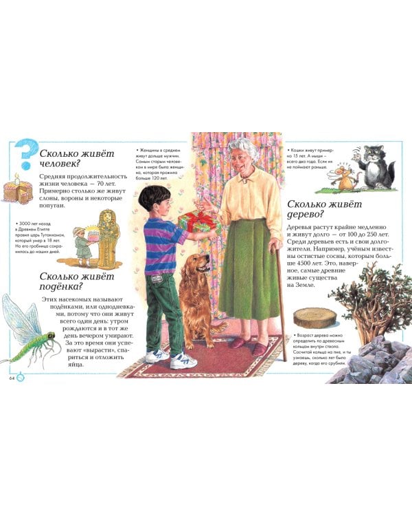 Отчего и почему?