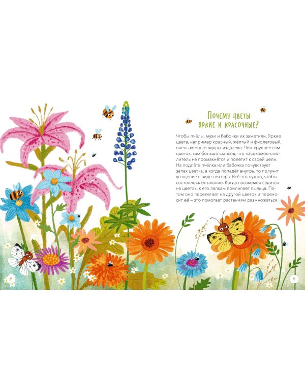 Что, где и почему? Самые интересные детские вопросы о мире вокруг