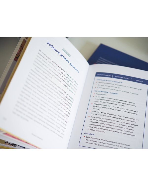 Мы беременны! Пошаговый план действий для будущего отца