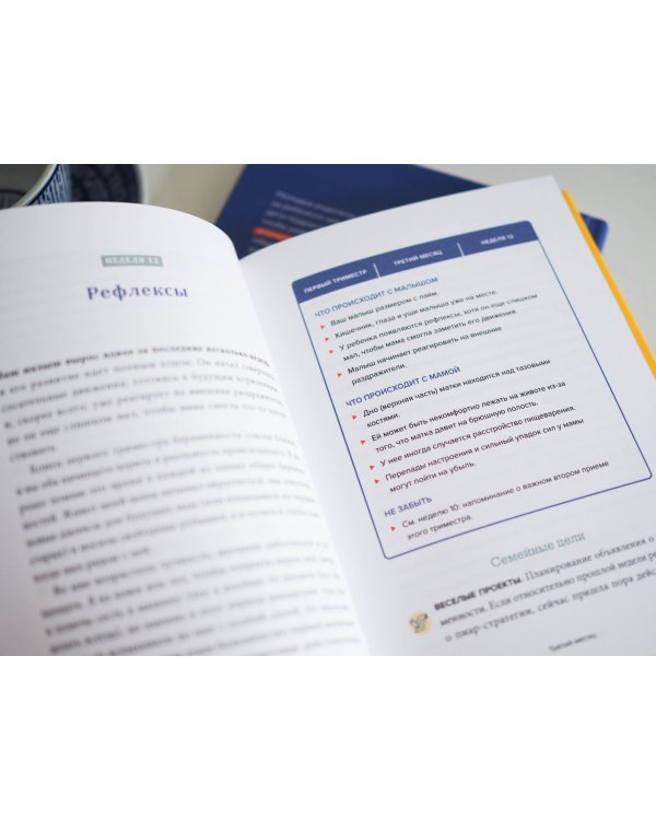 Мы беременны! Пошаговый план действий для будущего отца