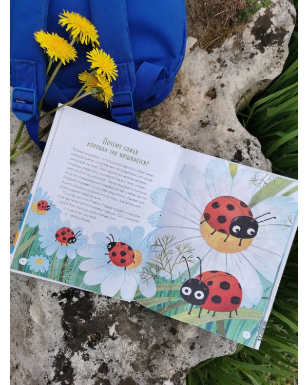 Что, где и почему? Самые интересные детские вопросы о мире вокруг