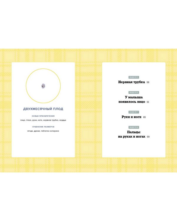 Мы беременны! Пошаговый план действий для будущего отца