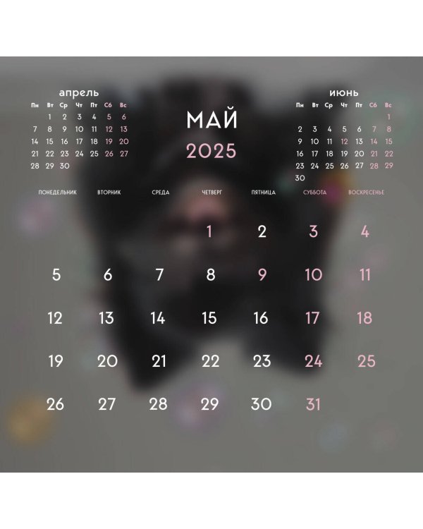 Шпицы. Календарь настенный на 2025 год (300х300)