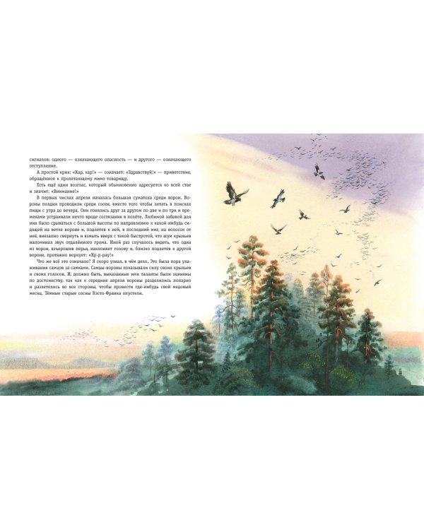 Рассказы о животных (ил. В. Канивца)