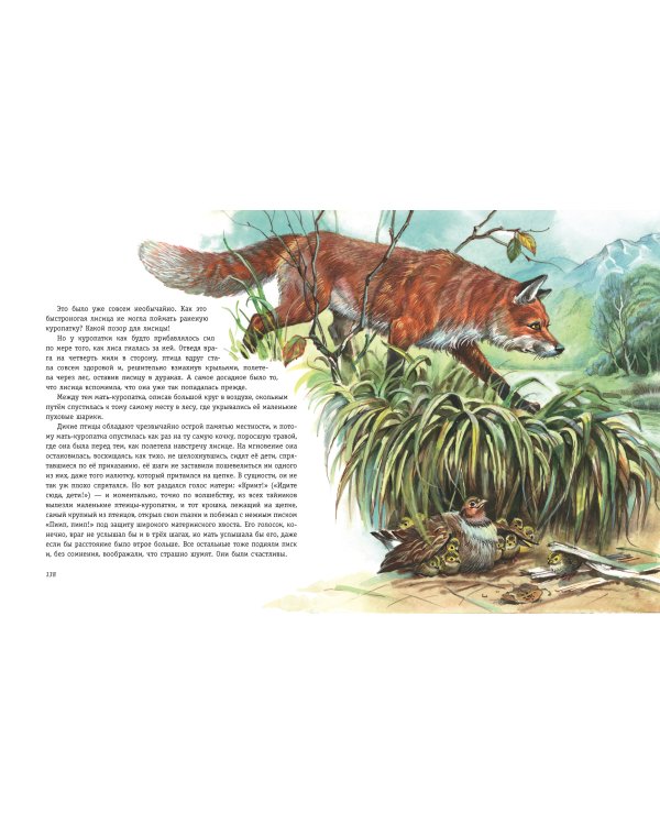 Рассказы о животных (ил. В. Канивца)