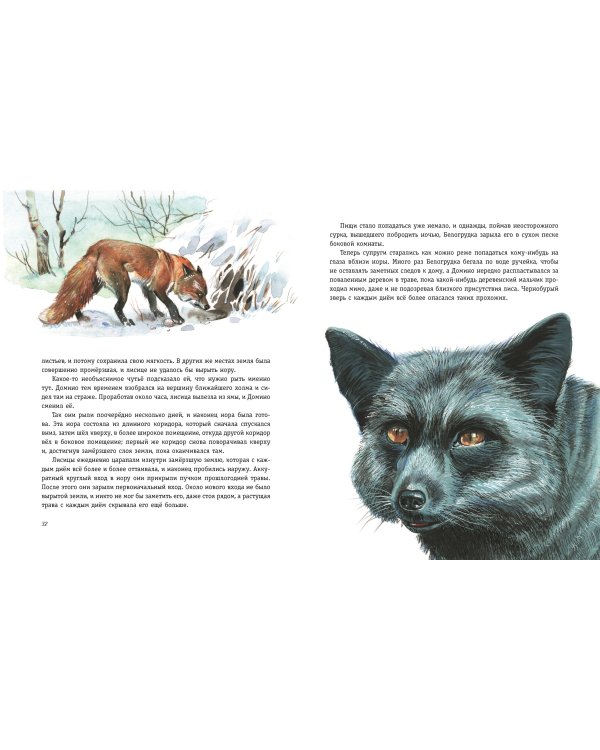 Рассказы о животных (ил. В. Канивца)