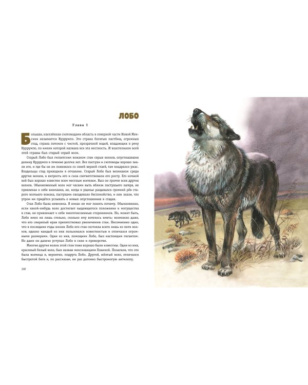 Рассказы о животных (ил. В. Канивца)