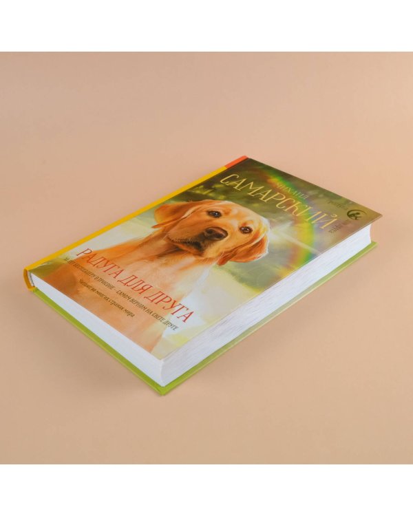 Радуга для друга