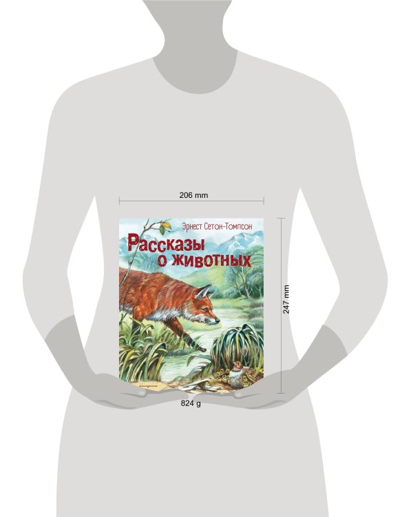 Рассказы о животных (ил. В. Канивца)