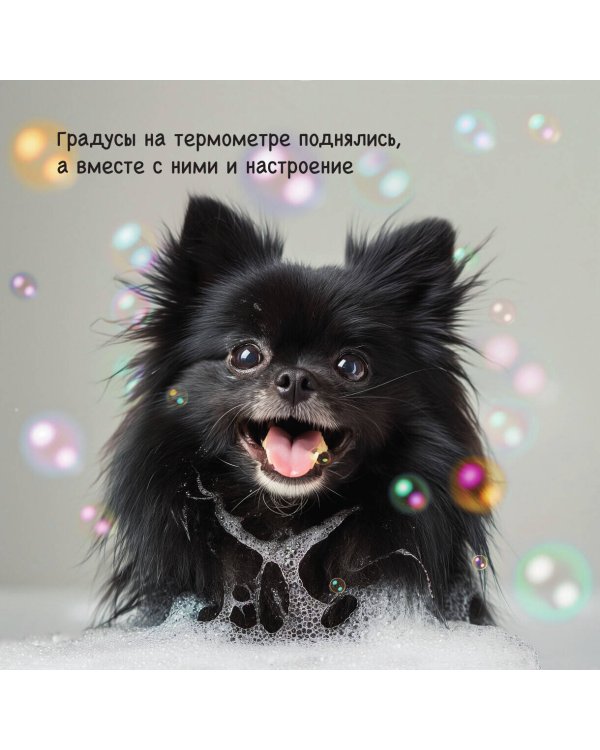 Шпицы. Календарь настенный на 2025 год (300х300)