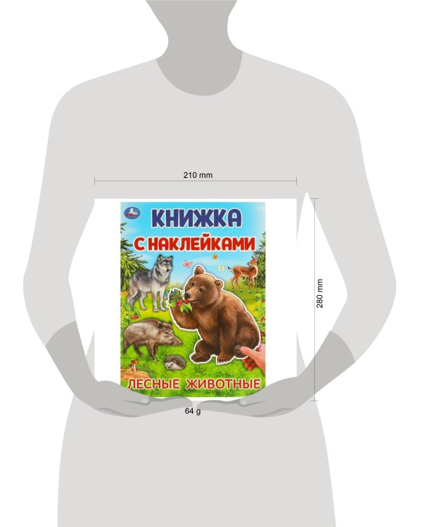 Лесные животные.  Книжка с наклейками. 210х285 мм. Скрепка. 4 стр. Умка в кор.50шт