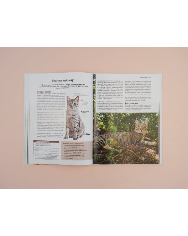 Все породы кошек. Большая иллюстрированная энциклопедия