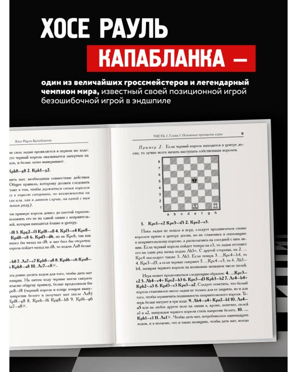 Основы шахматной игры