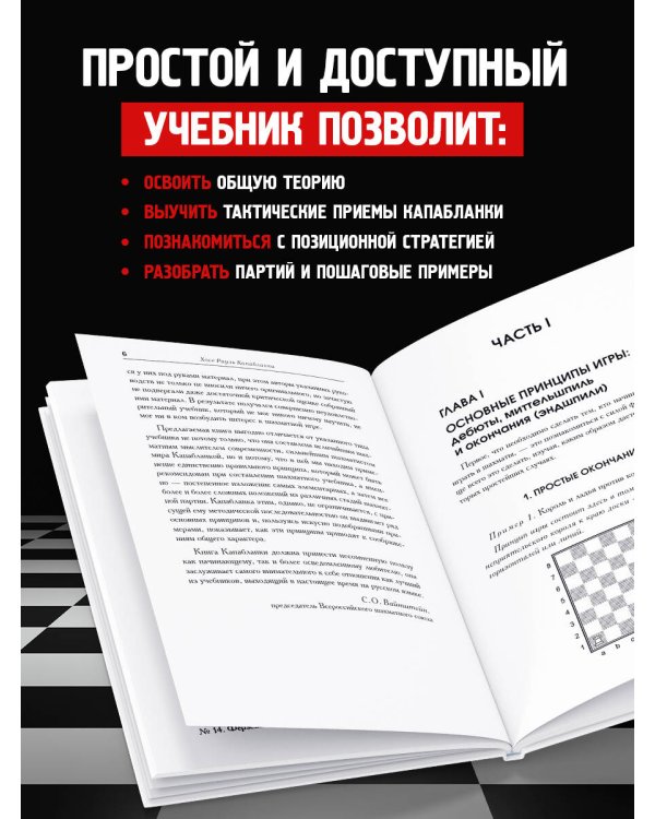 Основы шахматной игры