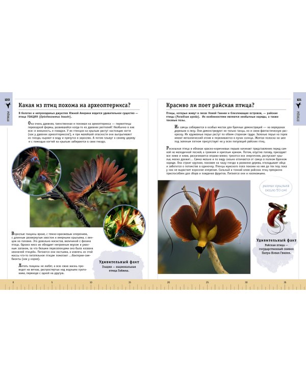 Редкие и удивительные животные нашей планеты. Энциклопедия для детей